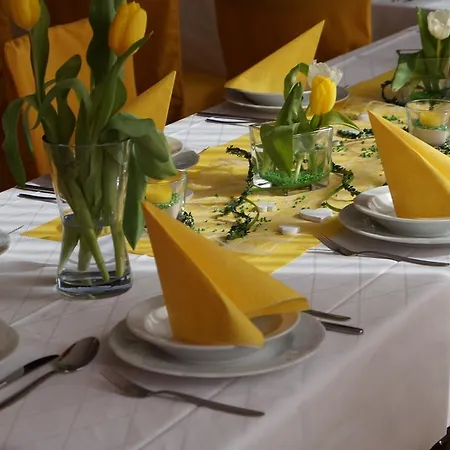 Guest house & Lisas-welt Wasserkuppe 3*